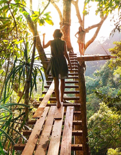 Woman walks across tree canopy ladder